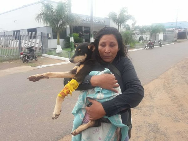 Con garrote le rompió la patita a un perro