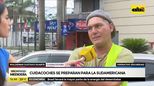 Presentan amparo para que cuidacoches no fijen tarifas durante la Sudamericana - Nacionales - ABC Color