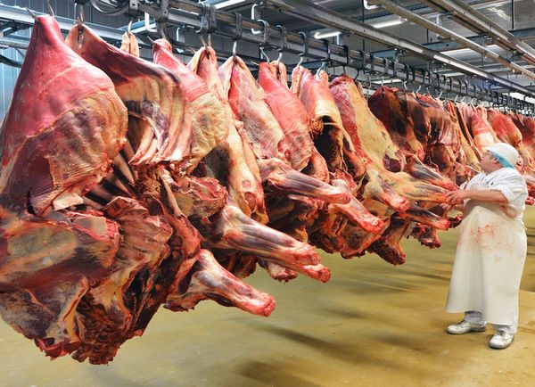 Analizan potenciar negocio de la carne con pequeños productores