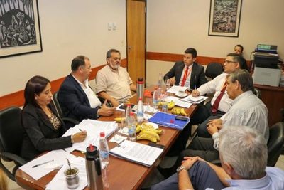 Inician conversaciones para proyecto de ley de venta de tierras de Antebi Cué » Ñanduti