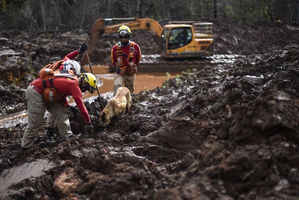 Vale pudo haber evitado tragedia minera en Brasil