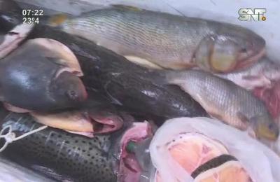 Continúa la venta de pescado en Remanso - SNT