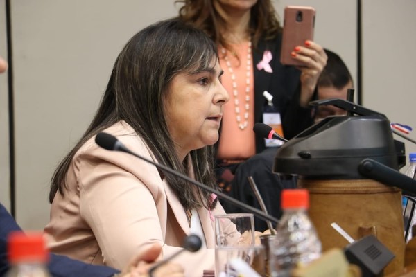 Suspensión de licitación: “No es posible que sigamos engañando a la gente” - ADN Paraguayo