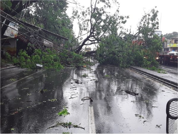 Vientos superaron 100 km/h en Ñemby y Villa Elisa