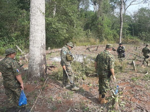 Policía de Amambay realiza varios operativos - Nacionales - ABC Color