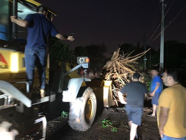 Heridos, árboles caídos, casas destechadas y hasta una pileta volando en Villa Elisa  - Nacionales - ABC Color