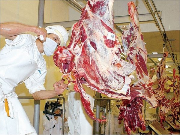 La faena de ganado bajó 6% en frigoríficos hasta octubre
