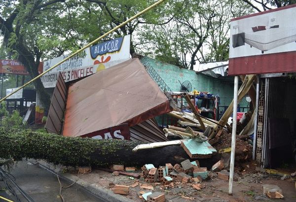 Persisten los cortes de energía tras temporal de ayer - Nacionales - ABC Color