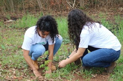 Inicia proceso de recuperación de zona verde del Parque Guasu