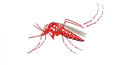 Se avecina una gran epidemia