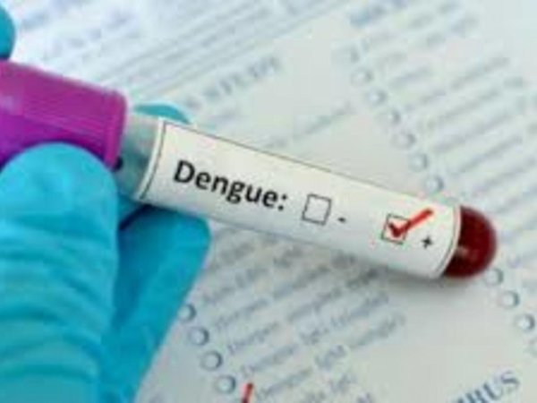 Dengue: Ahora el mosquito puede ser tu pareja