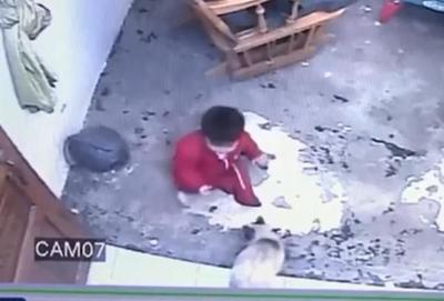 'Gatúbela' salva a bebé de caer por las escaleras