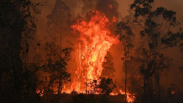 Tres muertos y cinco desaparecidos por los incendios forestales en Australia - .::RADIO NACIONAL::.