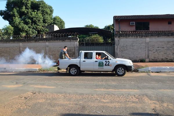 Ante nuevo caso de dengue, Paraguay ingresa a etapa epidémica