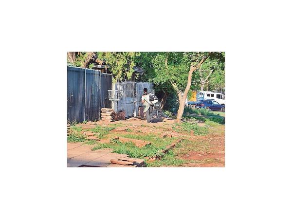 Dengue: Intensifican la lucha contra el Aedes en San Lorenzo