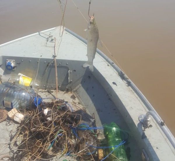 Mades incauta unos 1500 metros de espineles en río Paraguay durante veda