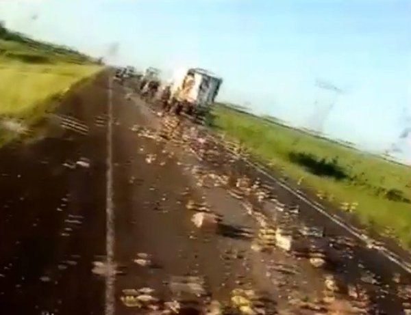 Fatal accidente de ómnibus paraguayo en Argentina | Noticias Paraguay