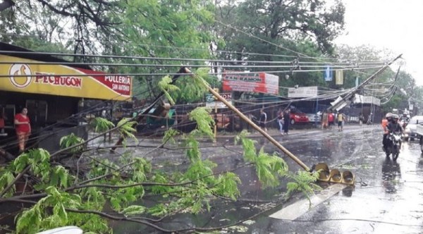 Más de 72 alimentadores de la ANDE salieron de servicios tras el temporal; seis siguen con averías - ADN Paraguayo