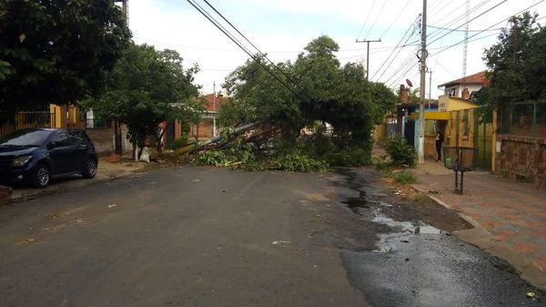 El peor temporal para la ANDE: 70 alimentadores caídos y 140.000 afectados - Nacionales - ABC Color