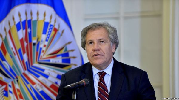 Los puntos clave del informe de la OEA que confirma el fraude en las elecciones bolivianas - ADN Paraguayo