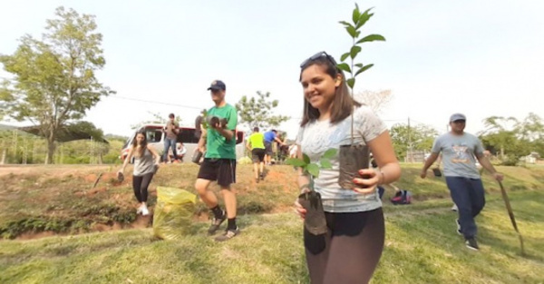 Con sus tajy, Pirayú quiere ser “más verde”