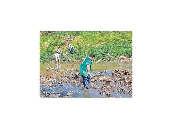 Limpian de basura los arroyos que desembocan en la bahía