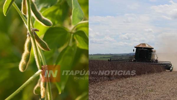 EL PROGRAMA DE BUENAS PRÁCTICAS AGROPECUARIAS DE LA COOP. NARANJITO TIENE SUS PRIMEROS RESULTADOS