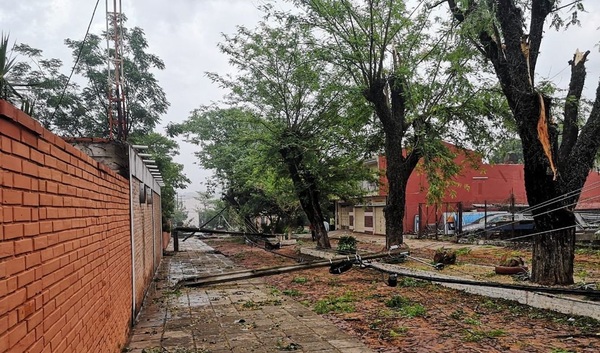 Cerca de 175.000 casas quedaron sin electricidad durante temporal del sábado