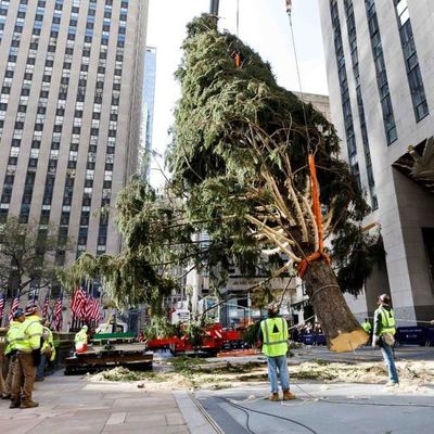 Neoyorquinos reciben con entusiasmo al famoso árbol del Rokefeller Center - Espectáculos - ABC Color
