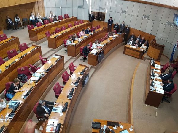 Legisladores rabonean y no acuden al debate sobre las urnas electrónicas - Nacionales - ABC Color