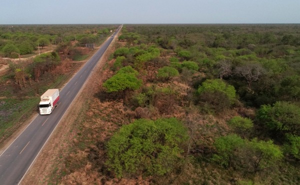 Nueve empresas cotizan para rehabilitar 75 km de la Ruta Transchaco | .::Agencia IP::.