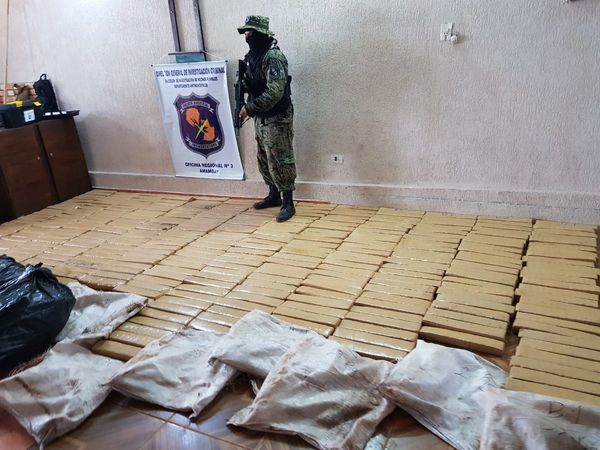 Policiales incautan 380 kilos de marihuana en PJC