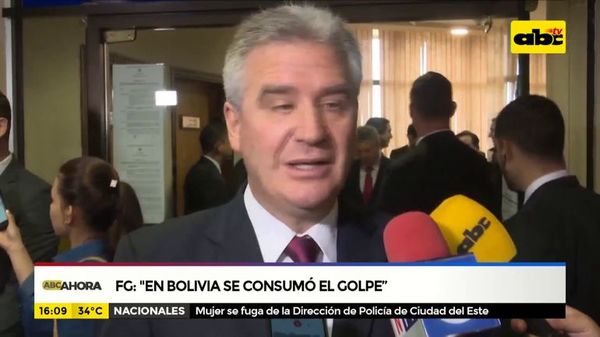 Senadores sobre renuncia de Evo en Bolivia - ABC Noticias - ABC Color