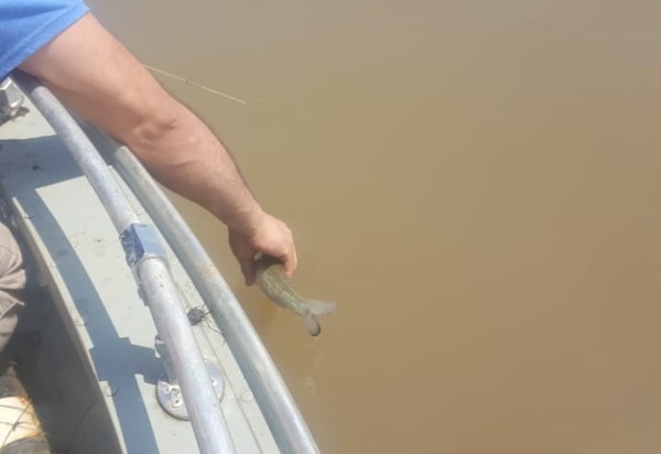 MADES intensifica controles en aguas del río Paraguay durante veda