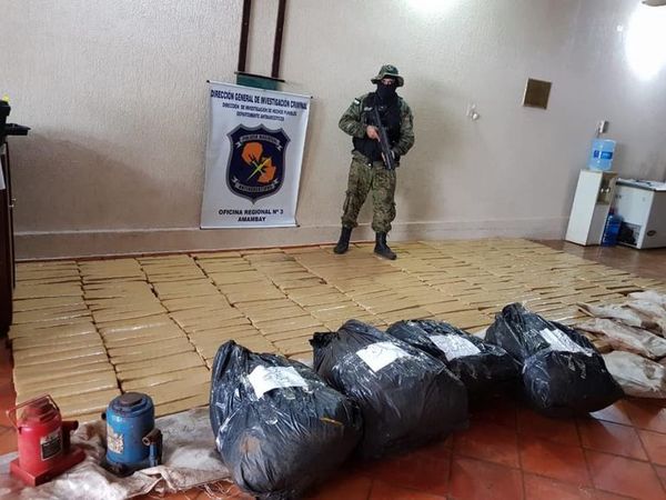Incautan drogas y destruyen campamento marihuanero en Amambay - Nacionales - ABC Color