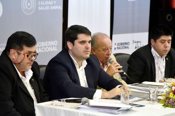 Estiman que 14.000 ganaderos tienen cerca de 170.000 bovinos sin marca - Economía - ABC Color