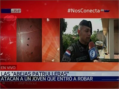Enjambre de abejas ayudó para captura de supuesto delincuente