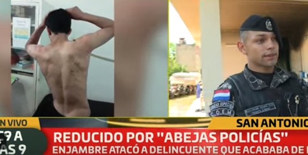 Abejas "justicieras" dejan como colador a sospechoso de asaltos