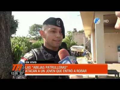 Abejas atacaron a un joven que entró a robar