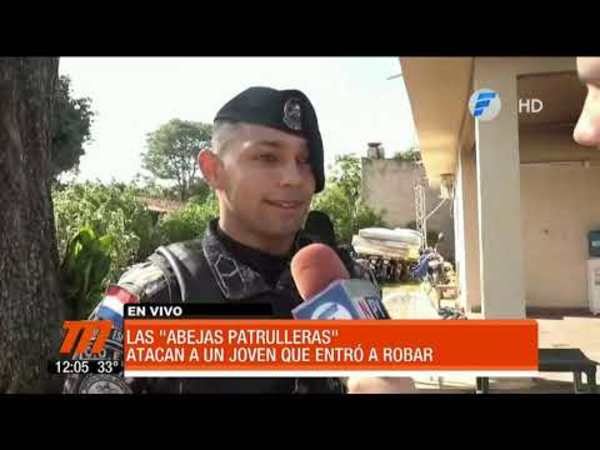 Abejas atacaron a un joven que entró a robar