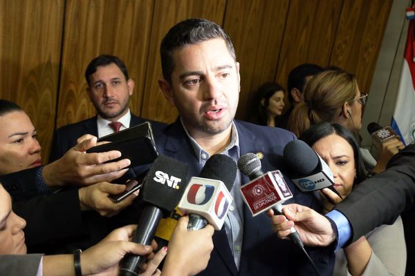 Veto del Ejecutivo deja a 194 funcionarios de Diputados sin salarios