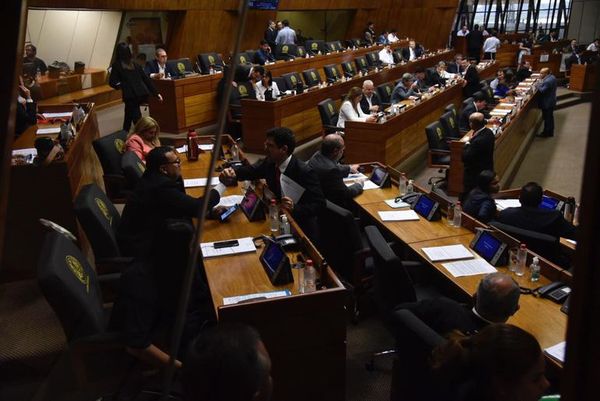 No rotundo del Ejecutivo a proyecto de aumento para Diputados  - Nacionales - ABC Color