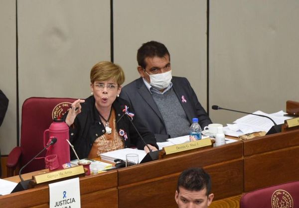 Plantearán apoderados informáticos para las elecciones - Nacionales - ABC Color