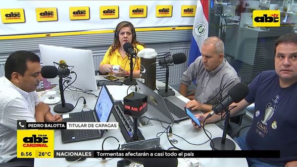 Ballota: “Hay productos para atender al mercado” - ABC Noticias - ABC Color