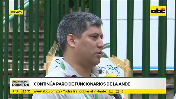 Continúa paro de funcionarios de la Ande - ABC Noticias - ABC Color