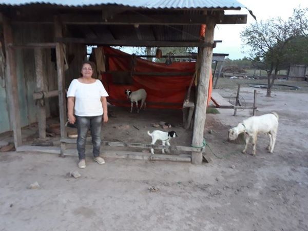 Familia Garcete recuperó sus tierras un año después de la denuncia - Nacionales - ABC Color