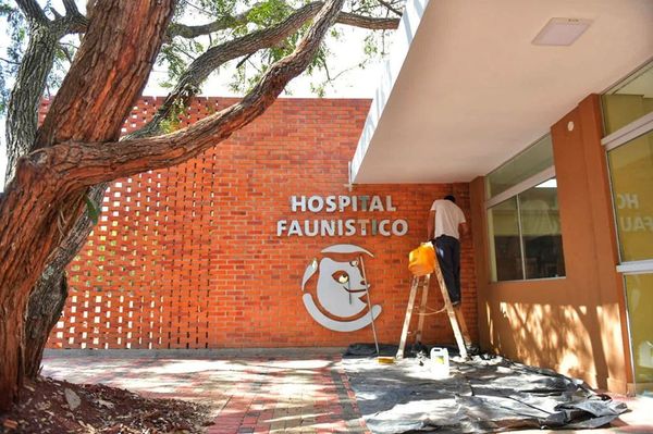 Trabajos del Hospital Faunístico culminarán en este diciembre