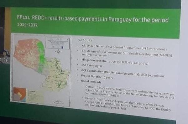 HOY / Reconocen a Paraguay por resultados en la reducción de la deforestación