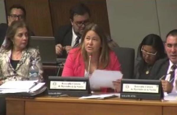 Sesión Extraordinaria: Diputados estudian el presupuesto 2020. - SNT