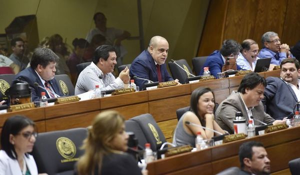 Diputados cerrarían hoy el PGN 2020 haciendo vito con el dinero público - Economía - ABC Color